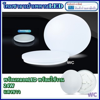 โคมซาลาเปาพร้อมหลอด แอลอีดี LED พร้อมโคมซาลาเปา 32 วัตต์เดิม 24W สว่างพิเศษ โคมไฟพร้อมหลอด ถูก สว่าง ประหยัดไฟ ครบ