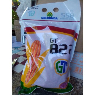 เมล็ดพันธุ์ข้าวโพดเลี้ยงสัตว์ GT822/722 ขนาด1กิโลกรัม พร้อมส่ง