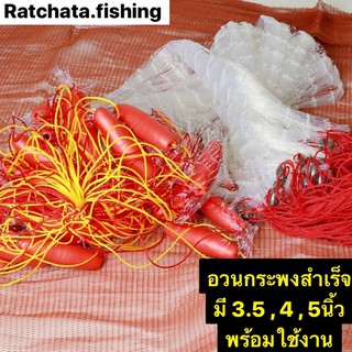 อวนดักปลากระพง👍มีขนาด 9 , 10 , 12 เซน👍พร้อมใช้งาน