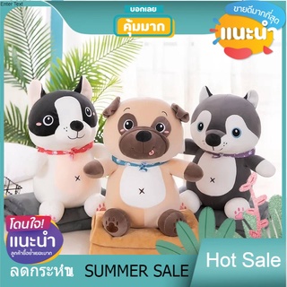 WoW  SALE ตุ๊กตาผ้าห่ม Husky Bull Terrier หมอนผ้าห่ม ตุ๊กตามีผ้าห่ม 3 ฟุต ผ้านิ่ม ผ้าเด้ง ตุ๊กตาหมา ผ้าห่ม