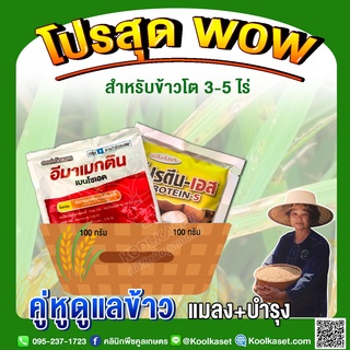 ชุดกำจัดหนอน บำรุงข้าวโต 3-5 ไร่ กำจัดหนอน บำรุงต้นข้าวใบเเขียว ออกรวงดี คูลเกษตร KK289