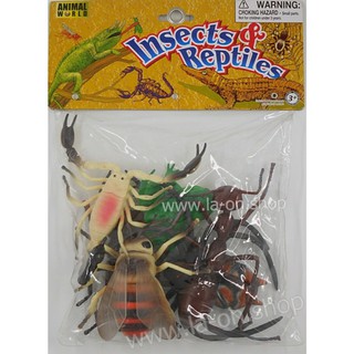 Insects Reptiles 980506A13