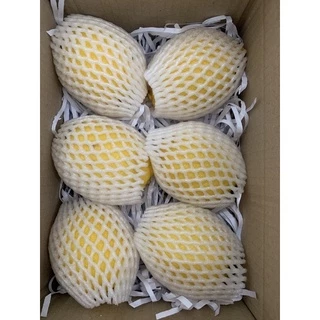 พร้อมส่ง‼️ (เซ็ท3ลูก/1KG) เลม่อนสดๆ lemon เปรี้ยวจี๊ดถึงใจ