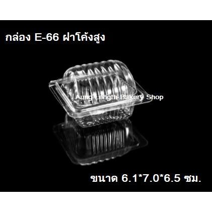กล่อง E-66 จำนวน 100ชิ้น