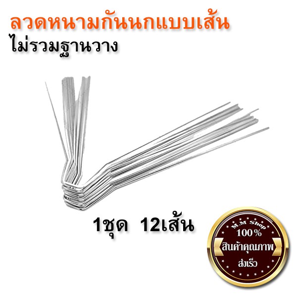 41 ลวดหนามกันนก