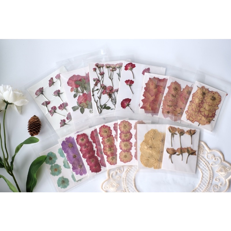 【พร้อมส่ง】ดอกกุหลาบแบบช่อทับแห้ง ดอกไม้ทับแห้ง  Pressed Flowers💐