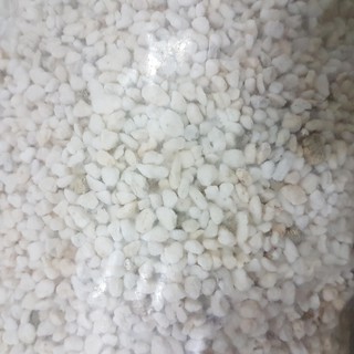 (1 ลิตร) เพอร์ไลท์ ( Perlite) ผสม เวอร์มิคูไลท์ (Vermiculite) (อัตรา 6:1) สำหรับใช้ในการปลูกพืชไฮโดรโปนิกส์