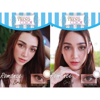 protrendcolor : คอนแทคเลนส์ รุ่น Romance brown / Romance gray