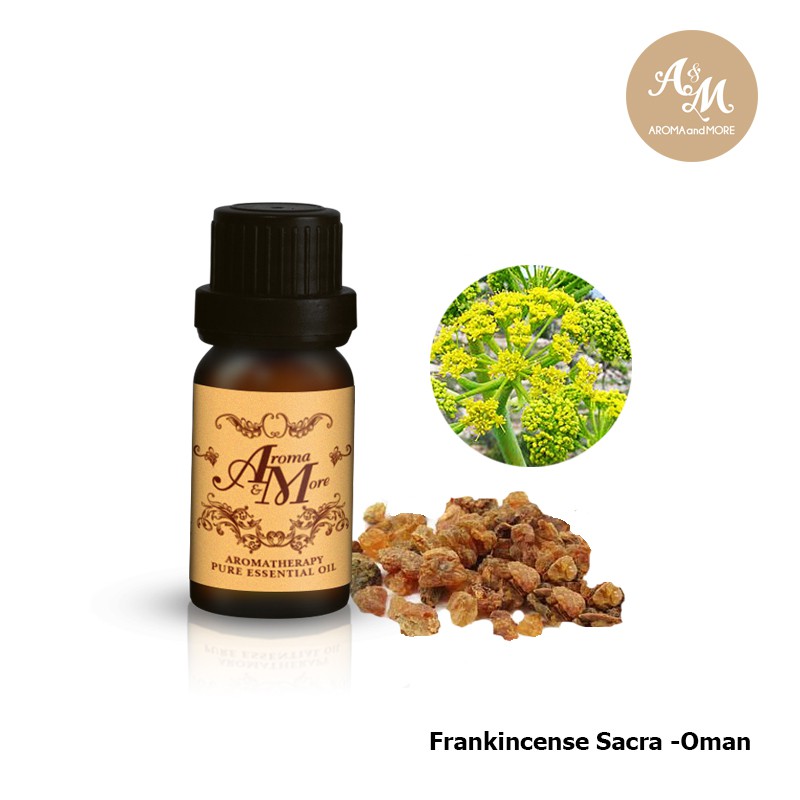 Aroma&More Galbanum Essential oil 100% / น้ำมันหอมระเหยกัลบานัม 100% Turkey 5/10/30ML