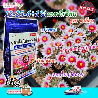 ออสโมโค้ท (Osmocote 1 Kg.) สูตร 12-25-6  สารอาหาร ปุ๋ยละลายช้า สูตร 6 เดือน ออสโมโค้ด ออสโมโคด ปุ๋ยแท้ ปุ๋ยใหม่ บำรุงต้น