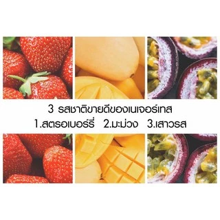 เนเจอร์เทส น้ำสตรอเบอร์รี่ แบบถุง น้ำสตรอเบอร์รี่ ขนาด 1 กก. (Strawberry Fruit base preparation)