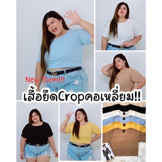 M28เสื้อยืด_คอเหลี่ยม_Cropไซส์ใหญ่ผ้าร่อง เสื้อครอปคนอ้วนเสื้อครอปไซส์ใหญ่ เสื้อครอปสาวอวบอ้วนเสื้อคนอ้วน เสื้อยืดคอกลม