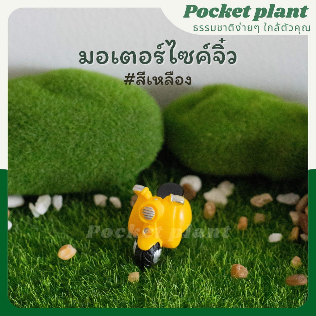 มุมมอง 5