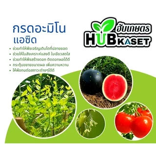 นาไรซ์ 1ลิตร (อะมิโน+สาหร่าย+จิ๊บ) ลมเบ่ง เร่งดอก ดึงช่อ