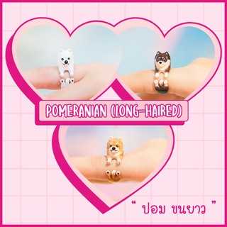 Title Ring / แหวน : Pomeranian (Long-Haired) / ปอมเมอเรเนียน ขนยาว