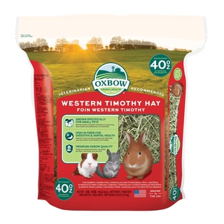 Oxbow หญ้าทิโมธี (40 oz) Western Timothy Hay เป็นหญ้าที่มีคุณค่าทางอาหารสูง กลิ่นหอมน่ากิน ไฟเบอร์สูง