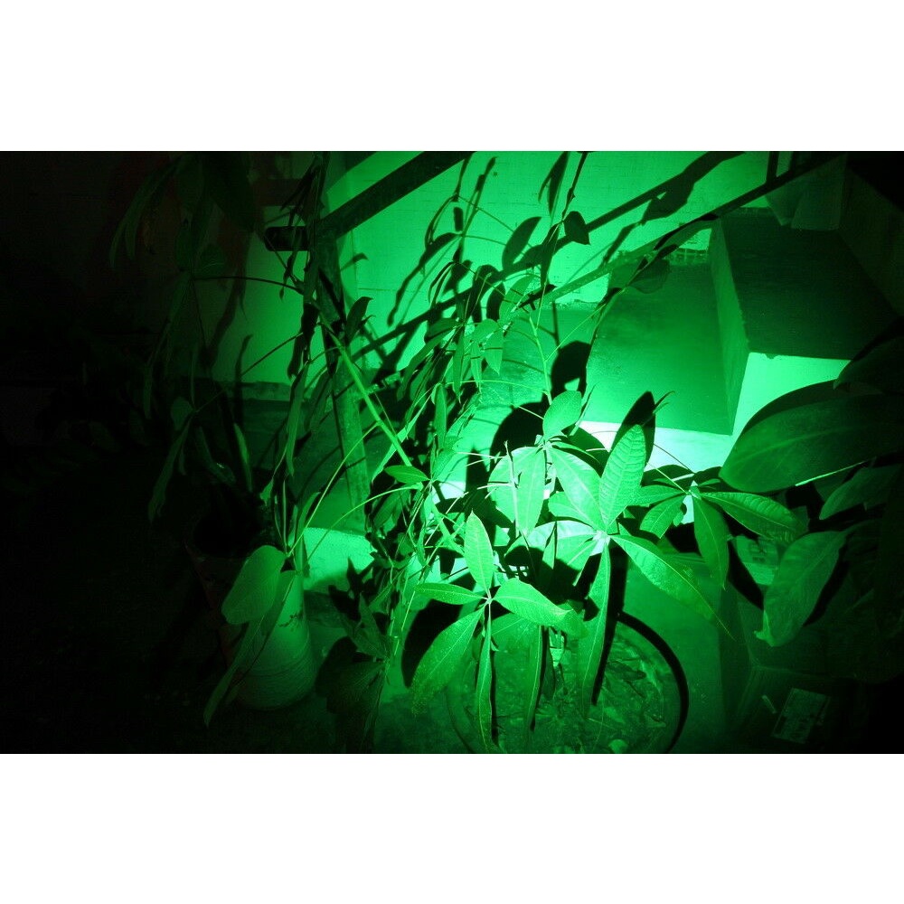 3W ประเภทปากกาแสงสีเขียวไฟฉาย LED การล่าสัตว์ Night Vision 2 * AAA แบตเตอรี่ไฟฉาย - รูปที่ 2