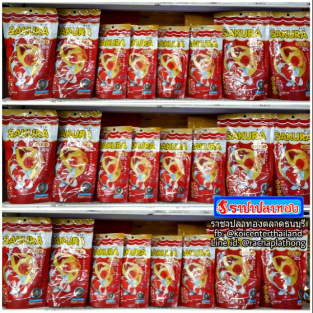 อาหารปลาซากุระโกล์ด SAKURA GOLD