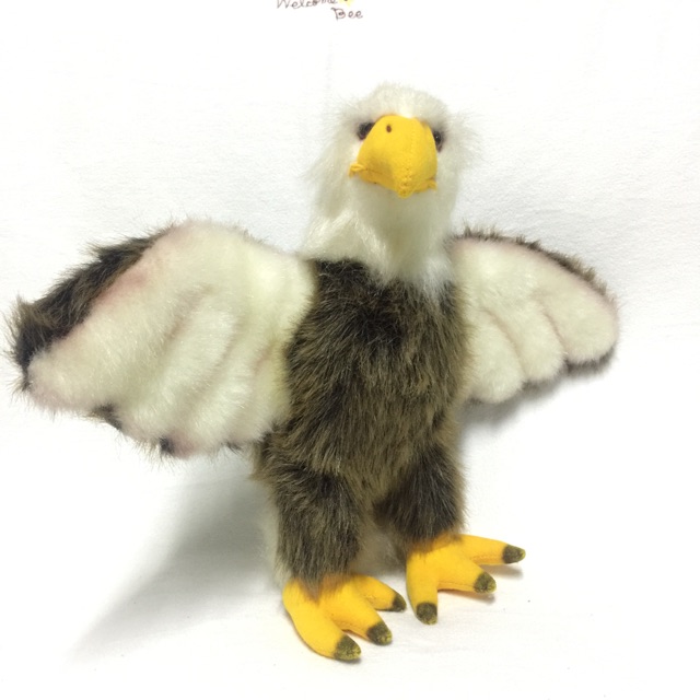 นกอินทรีย์เหมือนจริง 13” งาน UENO ZOO TAMA ZOO สมบูรณ์ครบ เหมือนจริงมากสวยๆ