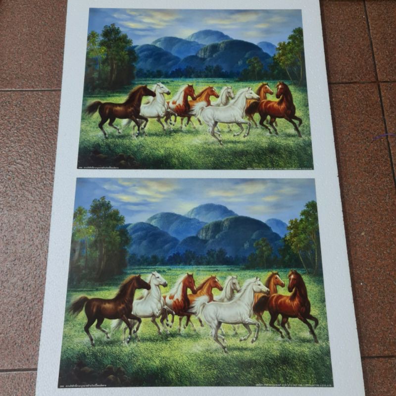 (ได้2ภาพ) ภาพเปล่า ม้า 8 ตัว ม้าสีหมอก 16x20 นิ้ว (40x50ซม.) ม้า เป็นสัญลักษณ์ ของความกล้า ความขยัน ความรวดเร็ว ว่องไว