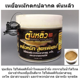 เหยื่อหมักตกปลากด ต้นหลิว สูตรต้นตำหรับ by ลุงดำ