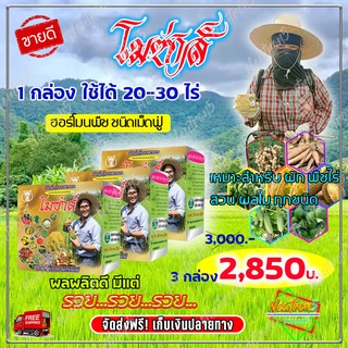 💥ส่งฟรี 💥โมซ่าส์ MOZA ( 3 กล่อง ) ปุ๋ยโมซ่าส์ โมซ่า ปุ๋ยฮอร์โมน กรดอะมิโนสูง สำหรับพืชไร่ พืชสวน ข้าว บำรุงใบ บำรุงราก