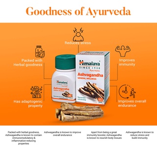 Himalaya Ashvagandha โสมอินเดีย ลดความเครียด คืนความอ่อนเยาว์ ป้องกันมะเร็ง นอนหลับสบาย (60เม็ด)