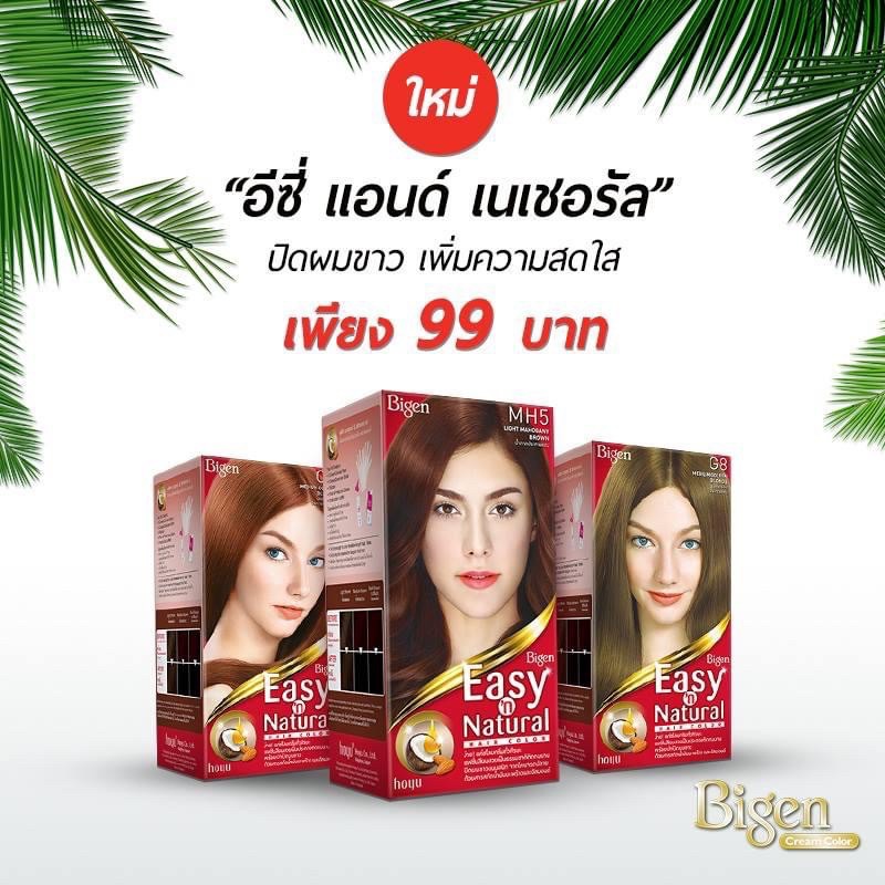 bigen บีเง็น Bigen Easy N Natural บีเง็น อี่ซี่ส์ แอนด์ เนเชอร์รัล สีผม ยาย้อมผม ปิดผมขาว