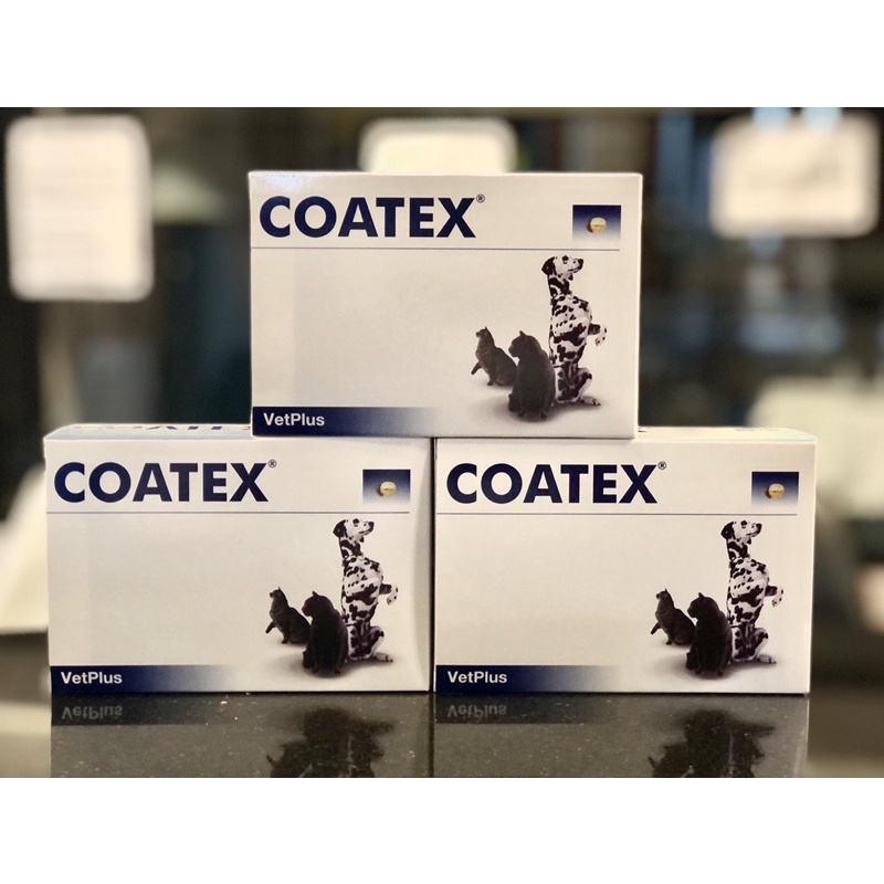 Coatexอาหารเสริมสำหรับบำรุงขนสุนัขและแมว 1กล่องมี 60cap