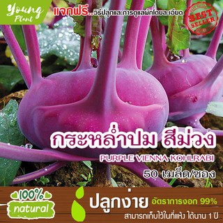 เมล็ดกะหล่ำปมสีม่วง 50เมล็ด อัตราการงอก95% (แถมฟรี!!! เมล็ดผักกวางตุ้ง500 เม็ด)