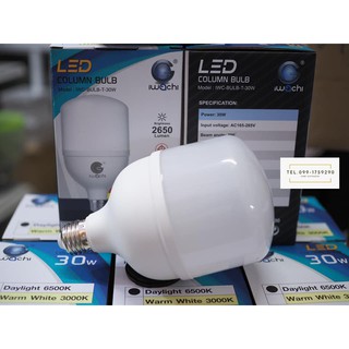 หลอดไฟ LED 30W IWACHI ขั้วE27 มีแสงสีขาว และแสงสีวอมไวท์