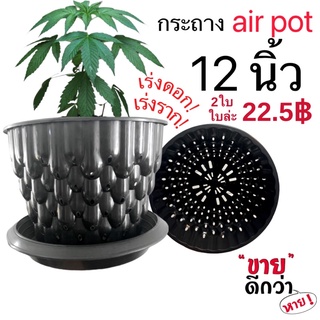 กระถางเร่งราก กระถาง air pot 12 นิ้ว กระถาง 12 นิ้ว ขาว ดำ สีอิฐ