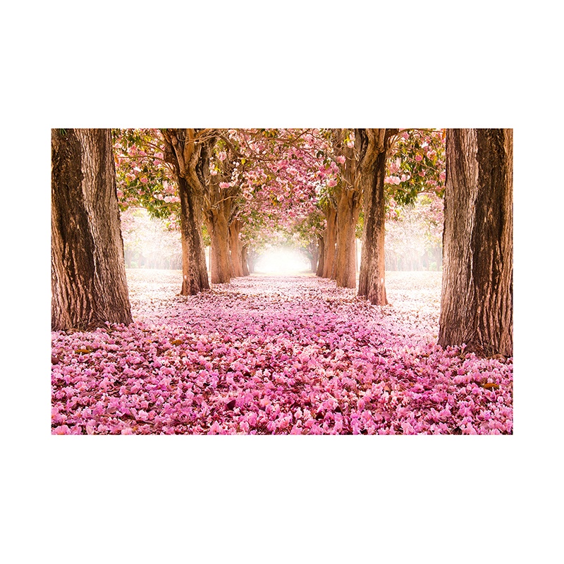 【พร้อมส่ง】พร็อพพื้นหลัง รูปดอกไม้ คุณภาพสูง สําหรับถ่ายรูป วันแม่ วันวาเลนไทน์ งานแต่งงาน เจ้าสาว งานเลี้ยงวันเกิด