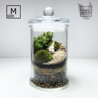 ชุดจัดสวนโหลแก้ว DIY Size M
