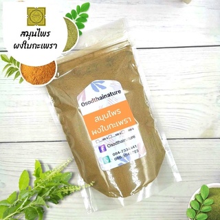 ผงใบกะเพรา (Holy basil powder) ขนาด 100 500 1000 กรัม ใบกะเพรา สมุนไพร บดละเอียด แท้ 100%