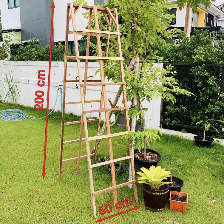 บันไดไม้เลื้อย สูง 200 cm (2 เมตร) ไม่ต้องประกอบ