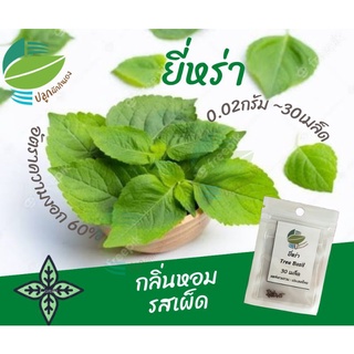 ยี่หร่า (Tree Basil)