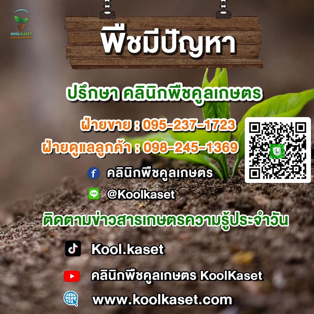อุปกรณ์การเกษตร ผ้าคลุมดิน สายน้ำหยด มุ้งฟ้า เครื่องพ่น ปั๊ม ท่อ วาล์ว คูลเกษตร thumbnail 10