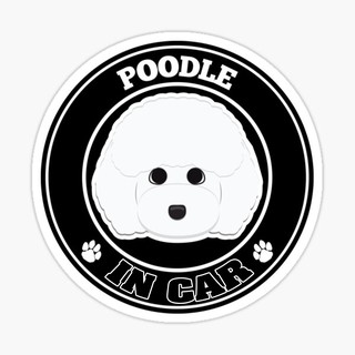 สติ๊กเกอร์ติดรถ แต่งรถ สติ๊กเกอร์ แม่เหล็กติดรถยนตร์ สติ๊กเกอร์หมา Poodle  in Car  - DGC35