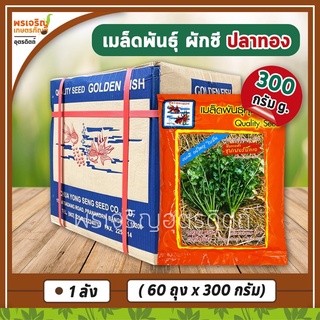 เมล็ดพันธุ์ผักชี ผักชีซุปเปอร์บิ๊กเอ พันธุ์กอใหญ่ 300 กรัม (ยกลัง 60 ถุง) เมล็ดผักชีปลาทอง เมล็ดพันธุ์ยกลัง ตราปลาทอง