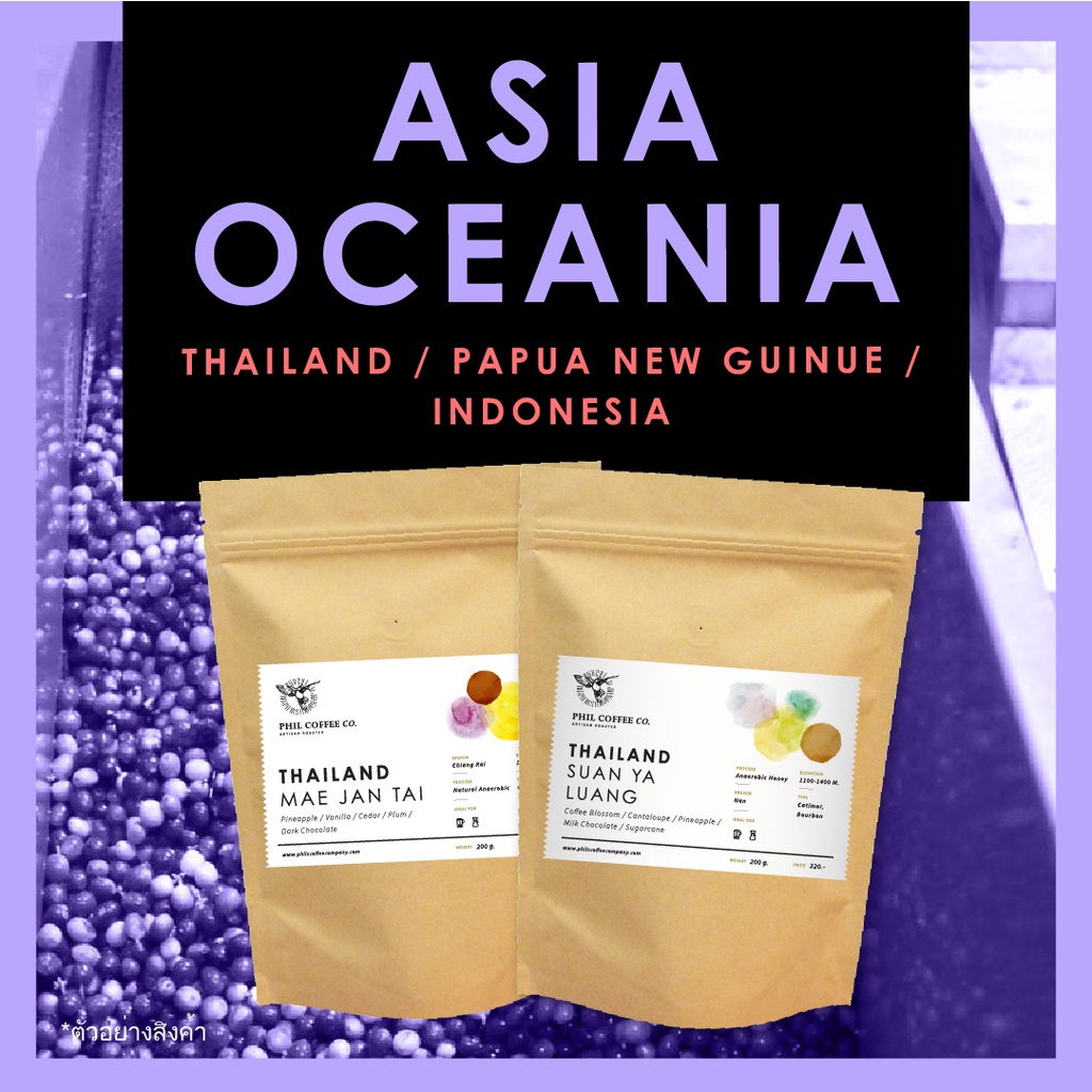 Thailand-Asia-Oceania Bean Selection เมล็ดกาแฟไทยและเอเชีย Arabica 100%