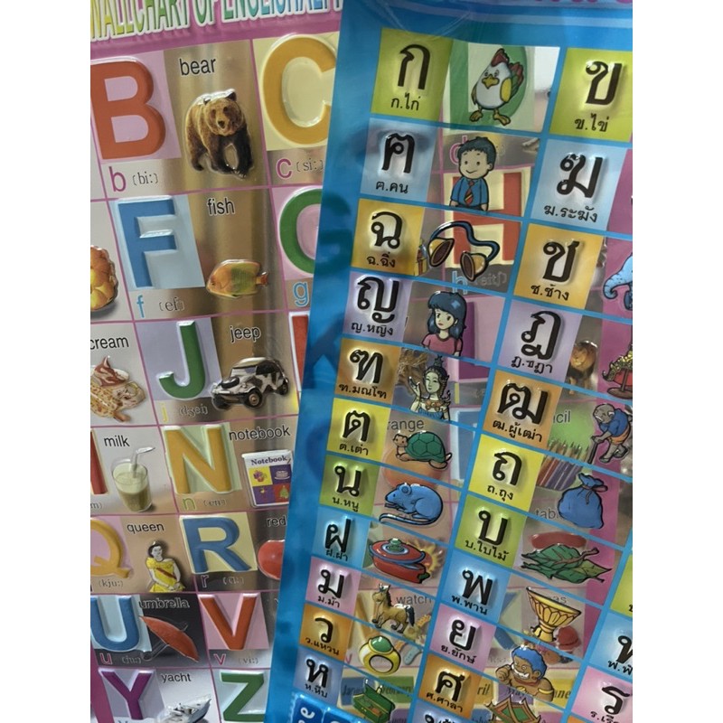 โปสเตอร์ตัวอักษร แบบนูน กอไก่ ABC โปสเตอร์แบบนูน แผ่นติดผนังกอไก่ แผ่นแปะผนังabc