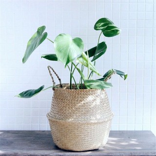 Readystock ตะกร้าไม้แบบพับได้อุปกรณ์สำหรับครัวเรือน shkingdom Grass weave flower basket