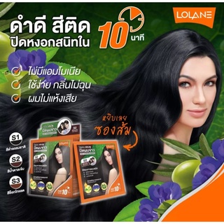 Lolane แชมพูปิดผมขาว โลแลน ติดเร็ว 10 นาที