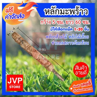 **ส่งฟรี** หลักมะพร้าว ขนาด 5cmx60cm  (Coconut peel) หลักกล้วยไม้ หลักไม้เลื้อย ช่วยลดสภาวะโลกร้อน