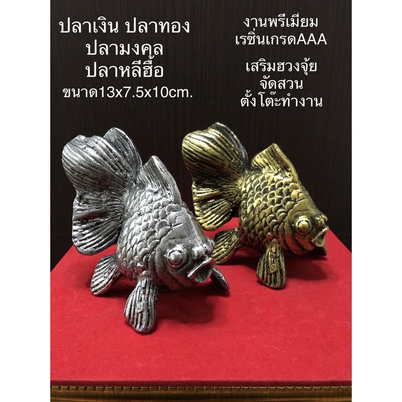 ปลาเงินปลาทอง ปลามงคล ปลาหลีฮื้อ ตั้งโต๊ะ จัดสวน