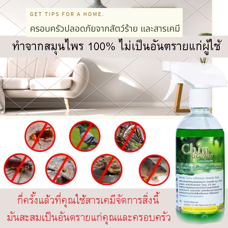 Chin Power สมุนไพร 100% ไล่แมลงสาป ไล่ จิ้งจก ไล่ ตุ๊กแก ไล่นกพิราบ ไล่ หนู ไล่งู สมุนไพรไทย ไร้สารตกค้าง จัดส่งฟรี Chin
