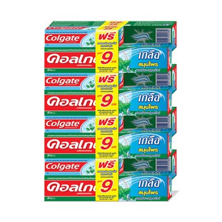 🚚💨พร้อมส่ง!! คอลเกต ยาสีฟัน สูตรเฮอร์เบิล 80 กรัม x 12 หลอด Colgate Toothpaste Herbal 80 g x 12 pcs