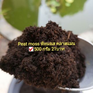 Peat moss พีทมอส คลาสแมน  500 กรัม