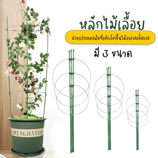 Systano กรงพืชไม้เลื้อย หลักไม้เลื้อย หลักล้อม โครงเถาวัลย์ อุปกรณ์สำหรับพืชไม้เลื้อย จัดทรงต้นไม้ No.KS165
